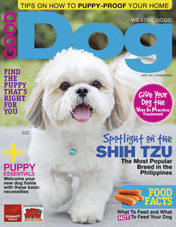 Good Dog April 2011